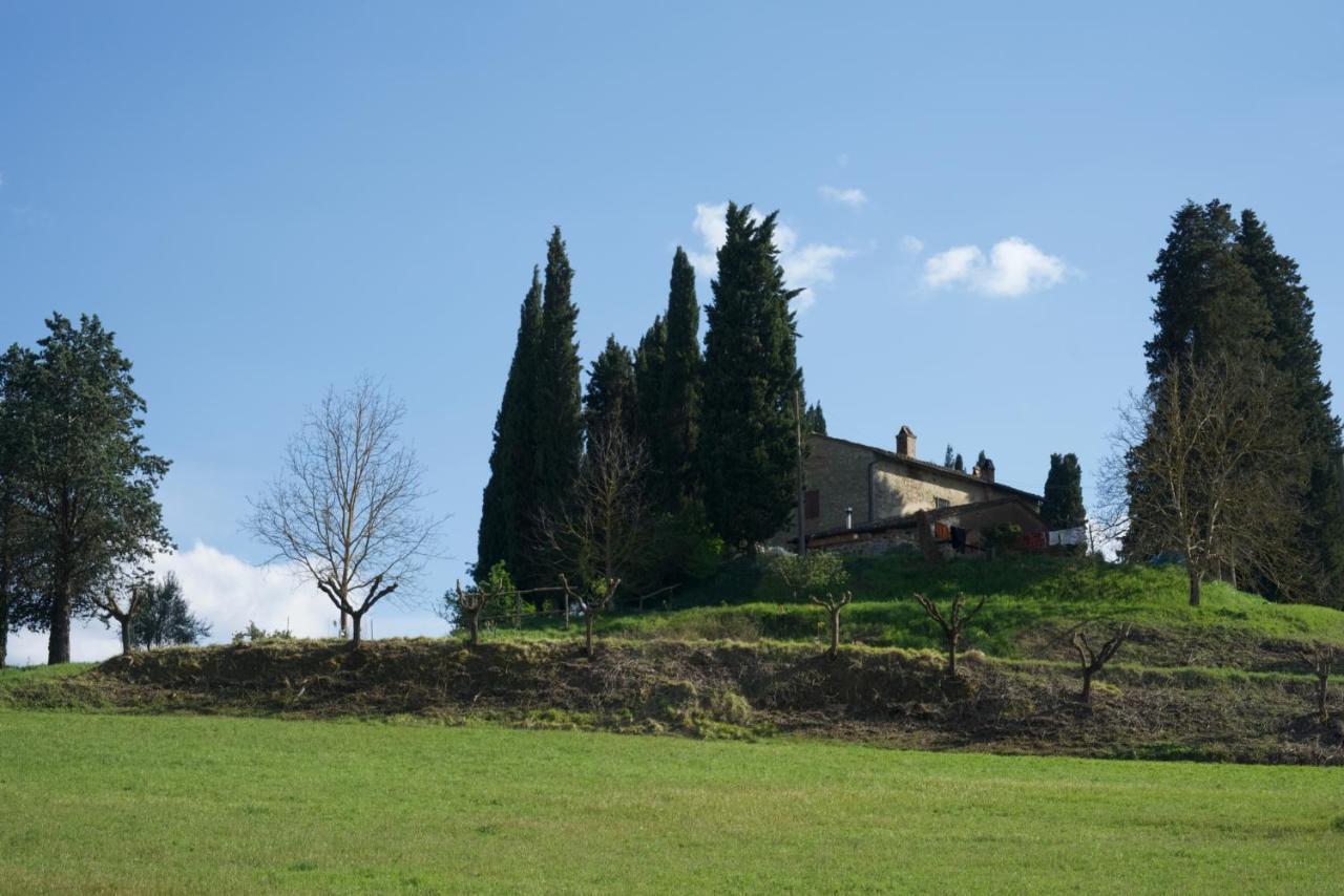 Agriturismo Il Caio Cetona Exteriör bild