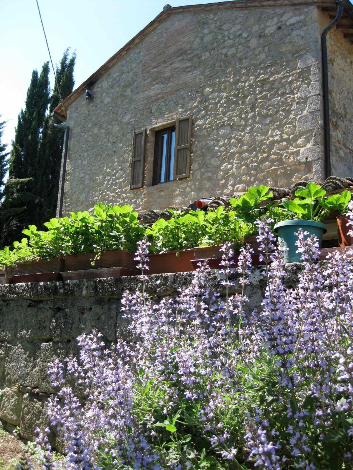 Agriturismo Il Caio Cetona Exteriör bild