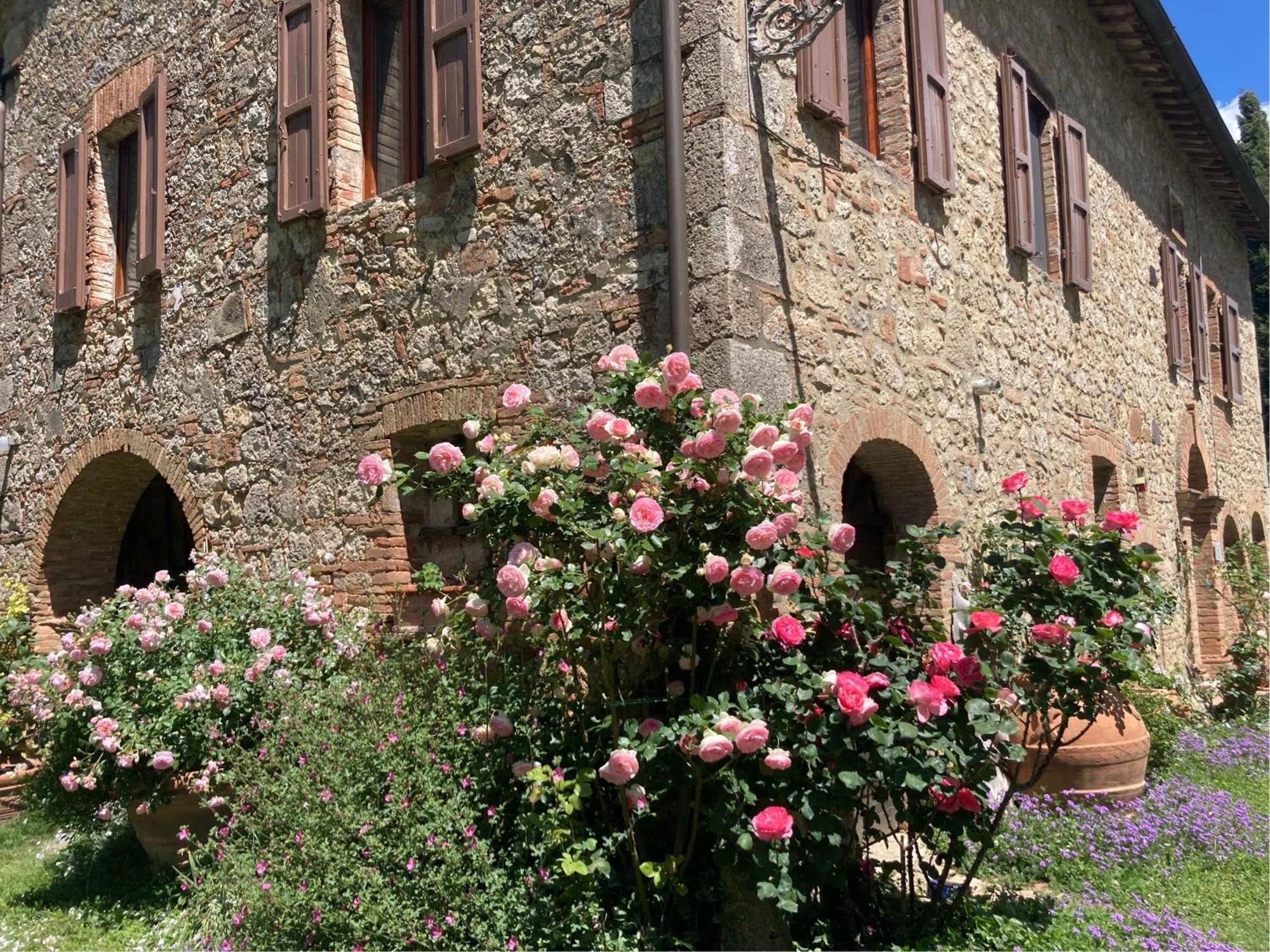 Agriturismo Il Caio Cetona Exteriör bild
