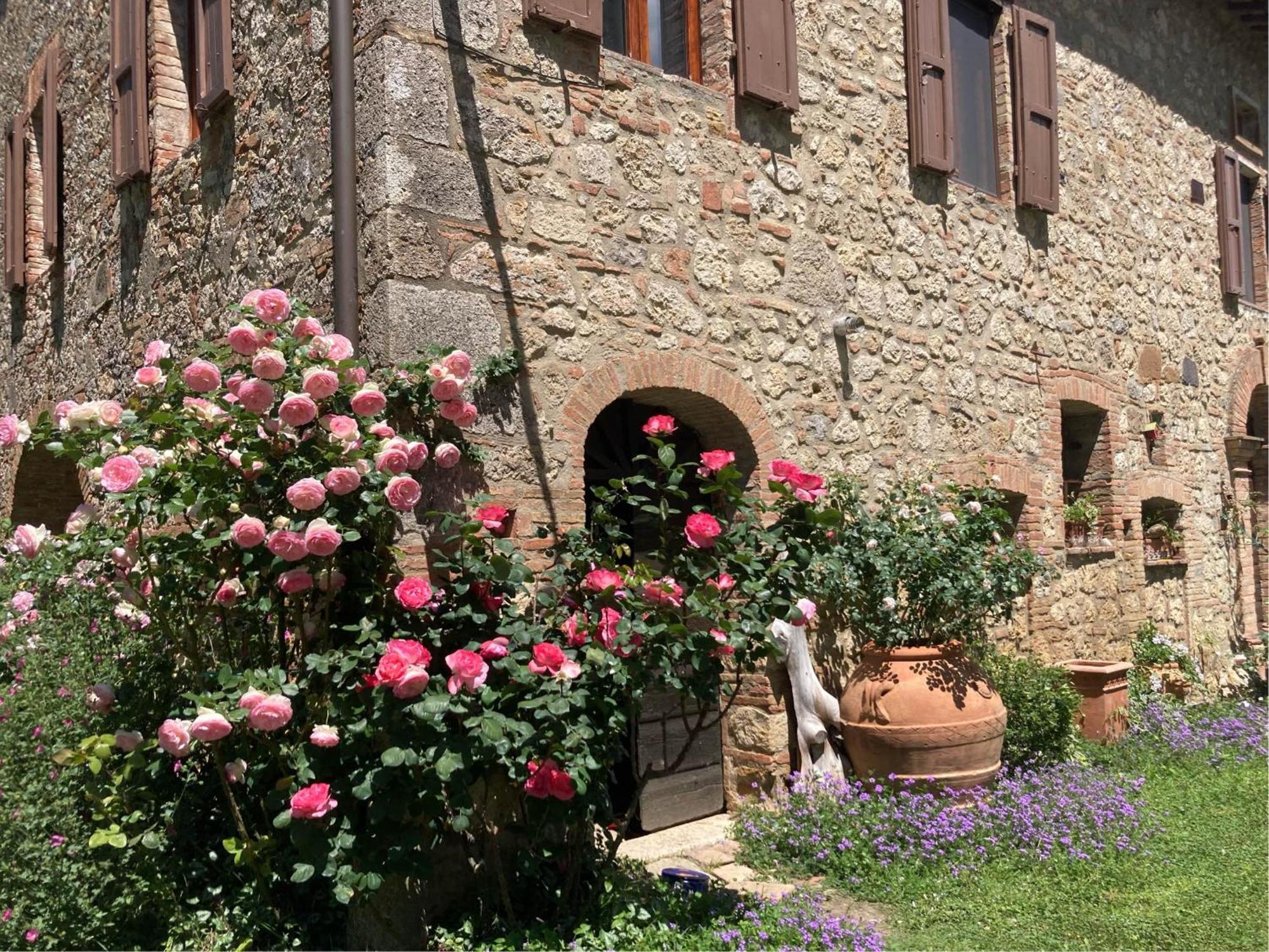 Agriturismo Il Caio Cetona Exteriör bild
