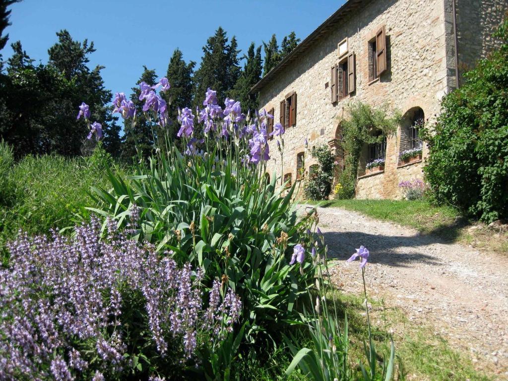 Agriturismo Il Caio Cetona Exteriör bild