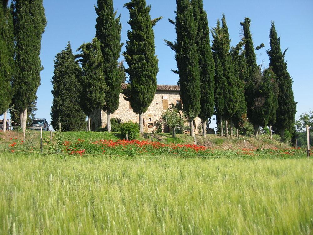 Agriturismo Il Caio Cetona Exteriör bild